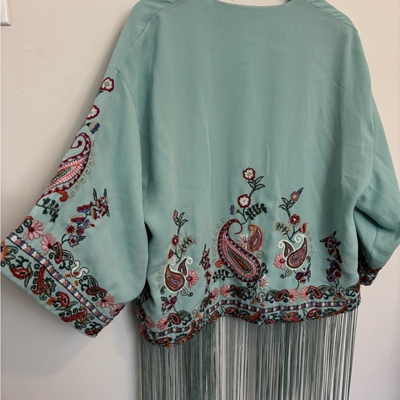 Zara Light Green Embroidered Fringe Kimono - Picture 11 of 14